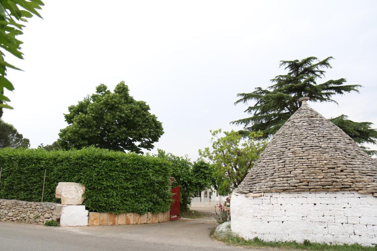 Sogni D'Oro Bed and Breakfast Αλμπερομπέλο Εξωτερικό φωτογραφία