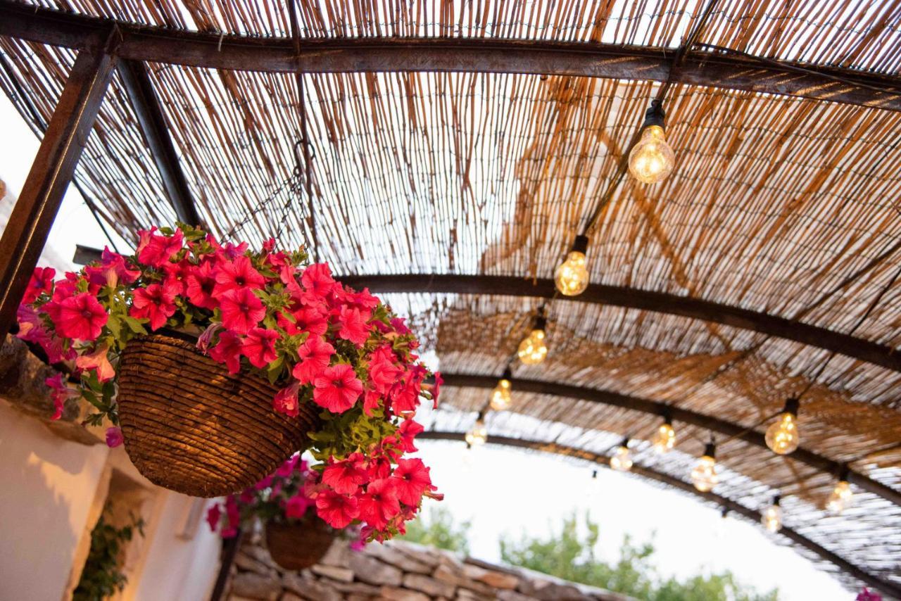 Sogni D'Oro Bed and Breakfast Αλμπερομπέλο Εξωτερικό φωτογραφία