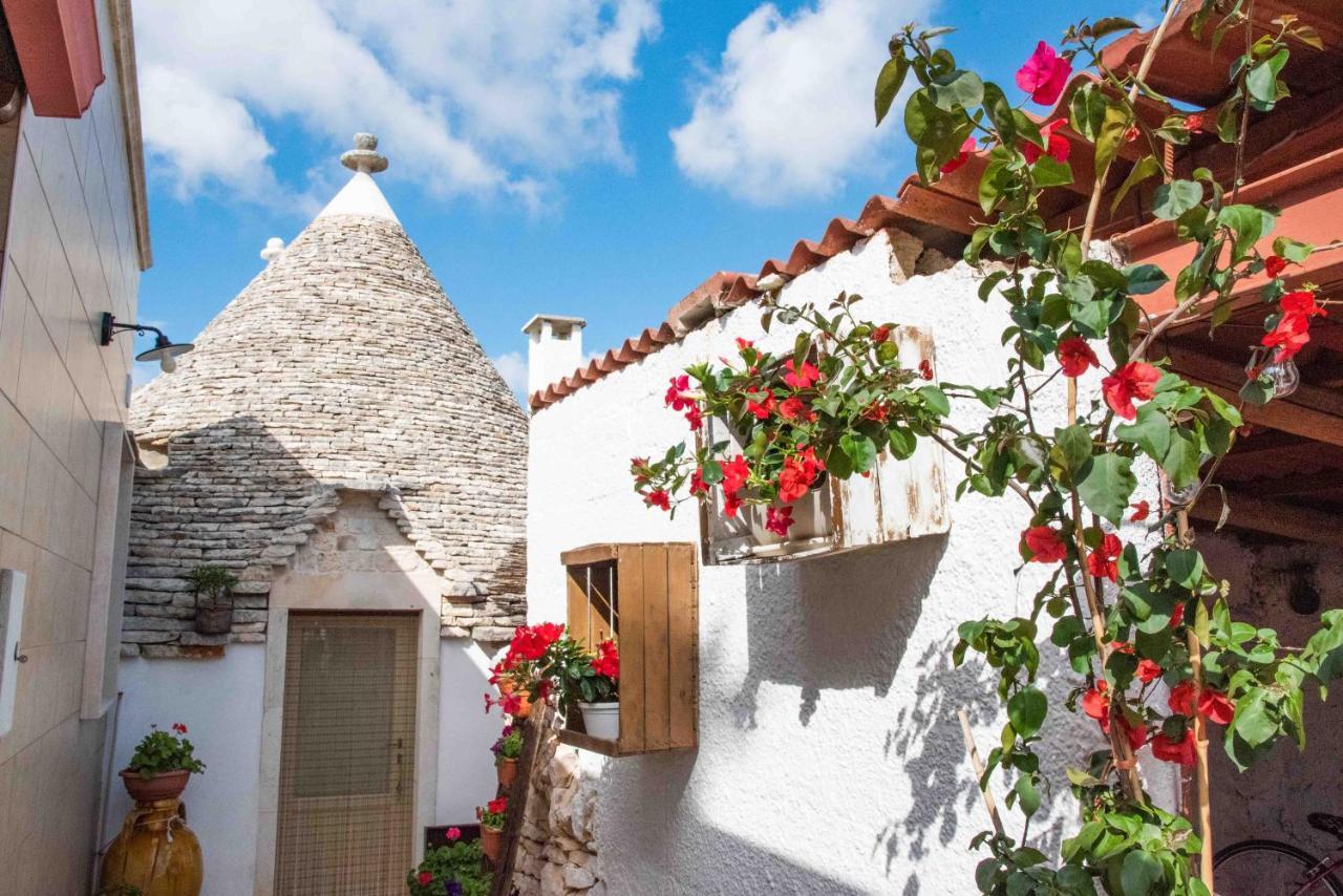 Sogni D'Oro Bed and Breakfast Αλμπερομπέλο Εξωτερικό φωτογραφία